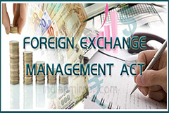 Foreign Exchange Management