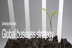 International Business Strategies